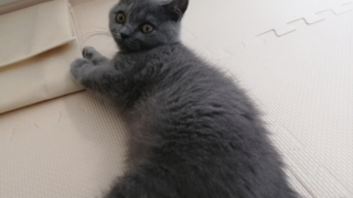 Thumbnail of post image 121