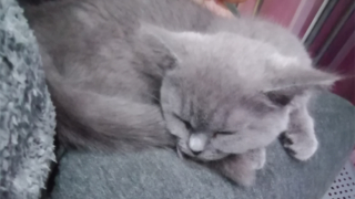 Thumbnail of post image 060