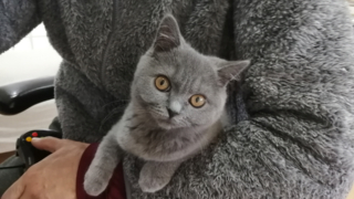 Thumbnail of post image 150