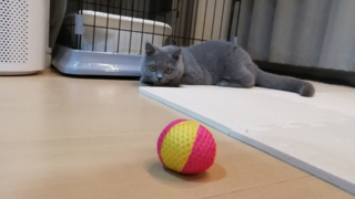 Thumbnail of post image 063