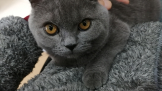 Thumbnail of post image 151